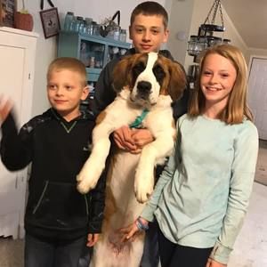 Meet your Posher, Brandy